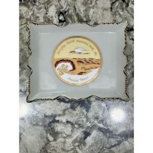 Vintage Arizona Souvenir Ashtray Petrified Forest National Park MCM